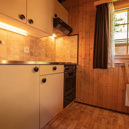 Tatil Evi Residenz Edelweiss Saas320 *