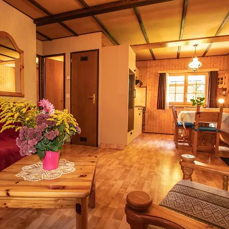 Tatil Evi Residenz Edelweiss Saas320