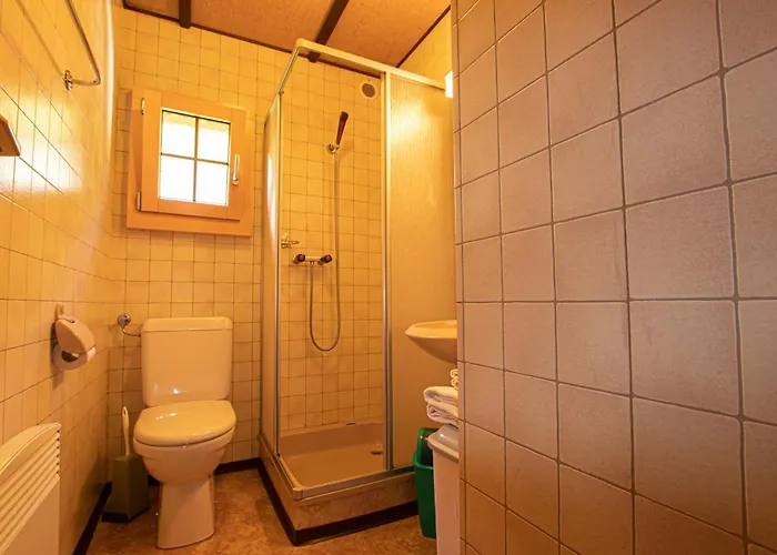 Residenz Edelweiss Saas320 *