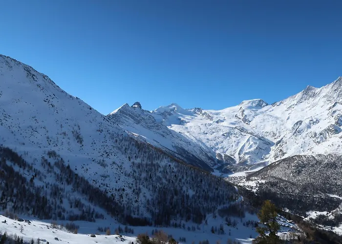 Residenz Edelweiss Saas320 Hébergement de vacances Saas-Balen